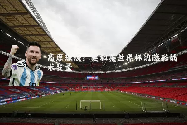 高原球场：美加墨世界杯的隐形战术变量