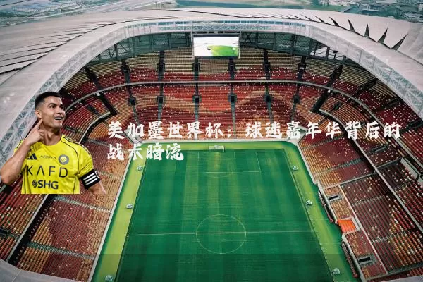 美加墨世界杯：球迷嘉年华背后的战术暗流